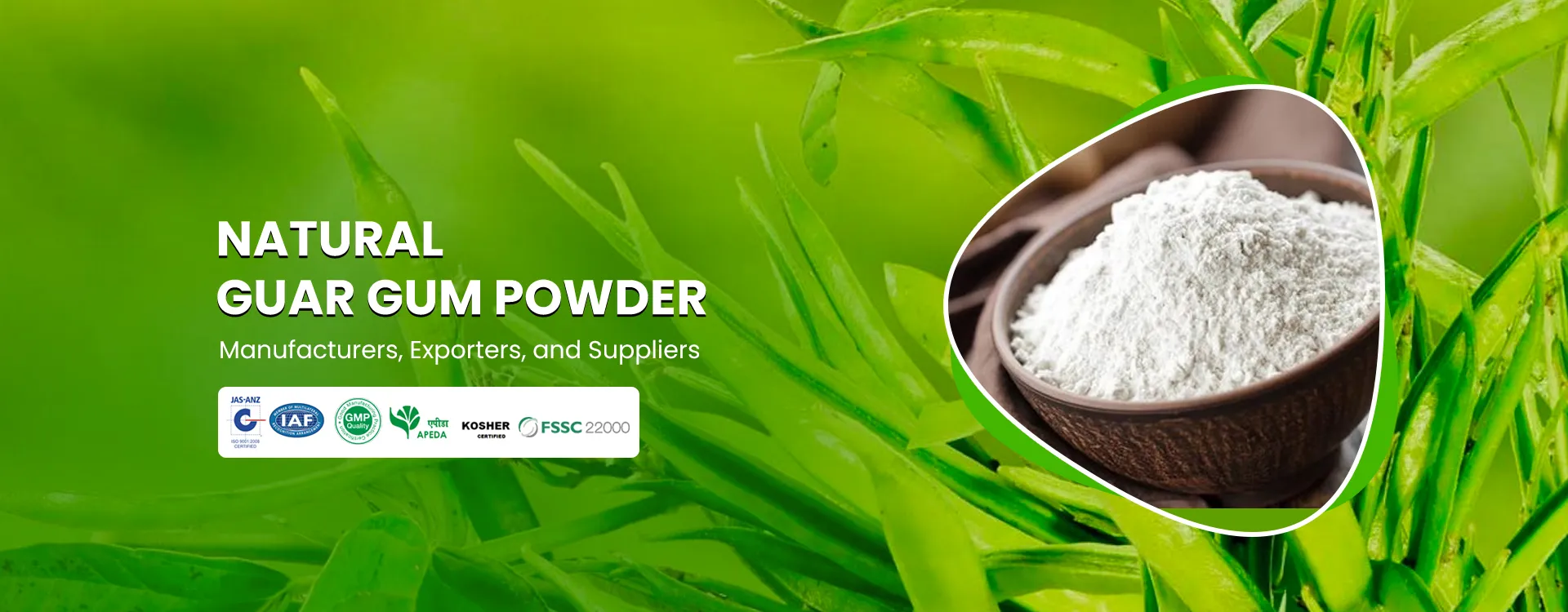 guar gum powder supplier