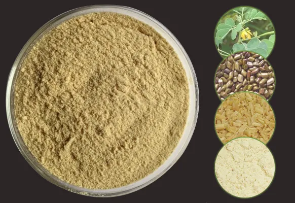 7 Key Benefits of Cassia Tora Gum Powder for Food Manufacturers