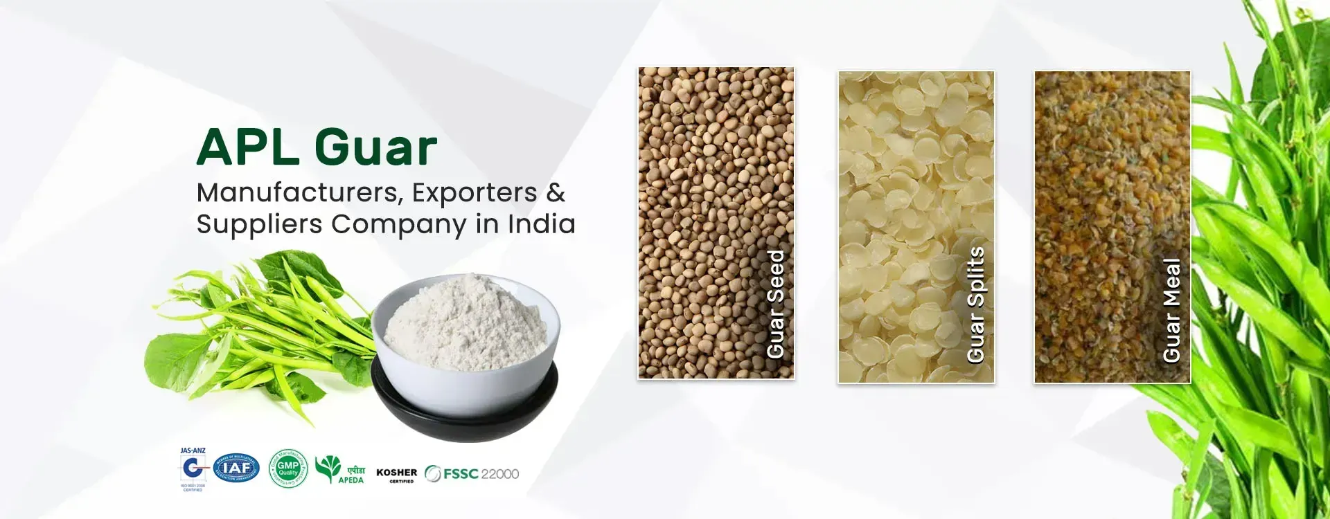 guar gum powder manufacturer