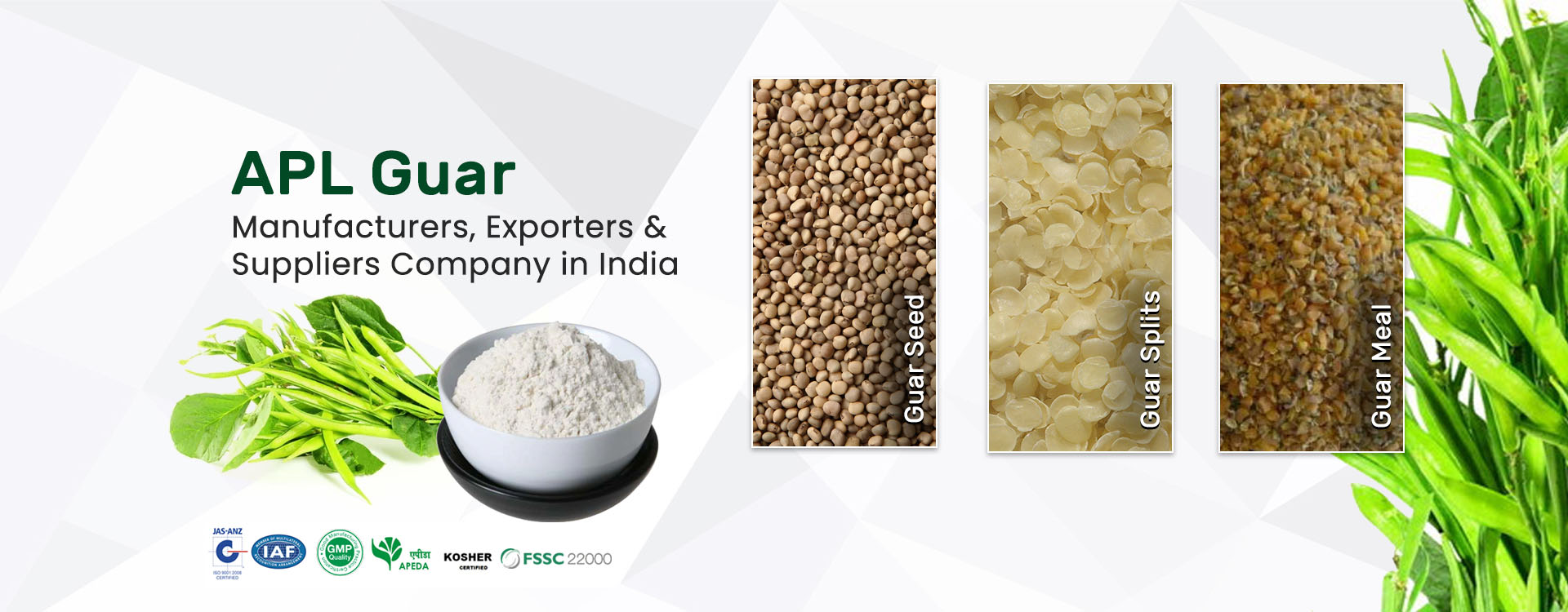 Ashapura Proteins Ltd.