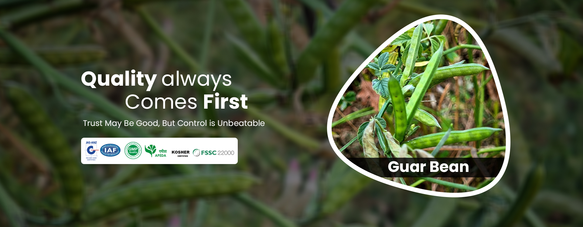 Ashapura Proteins Ltd.