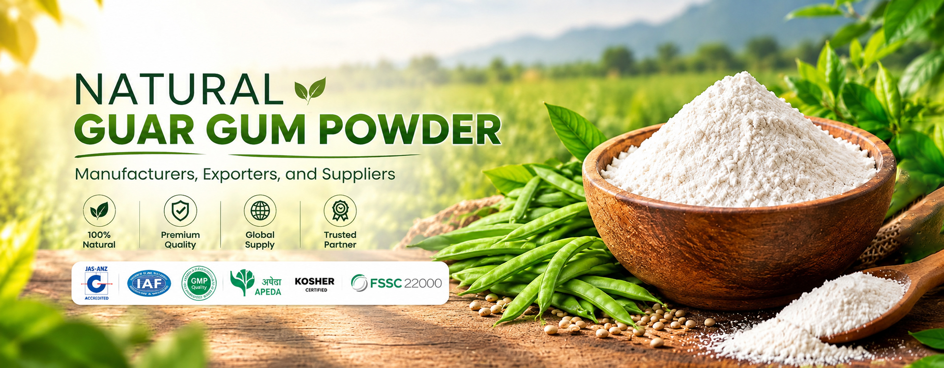 guar gum powder supplier