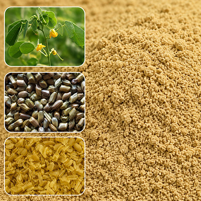 Cassia Tora Gum Powder