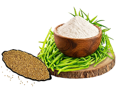 Guar Gum Powder