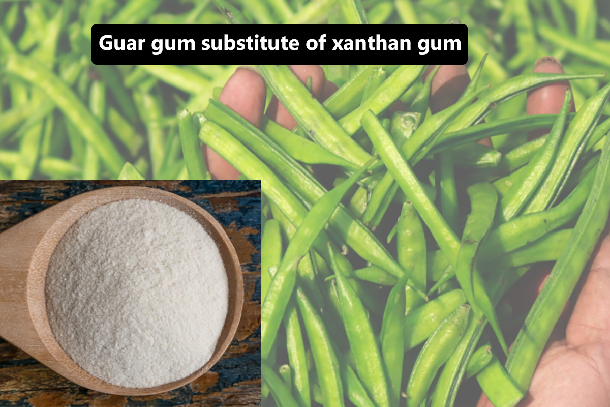 Xanthan Gum Food Grade in india